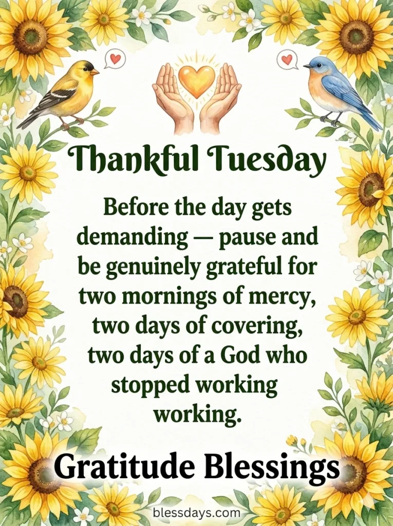 Good Morning Tuesday Blessings to Start the Day Strong