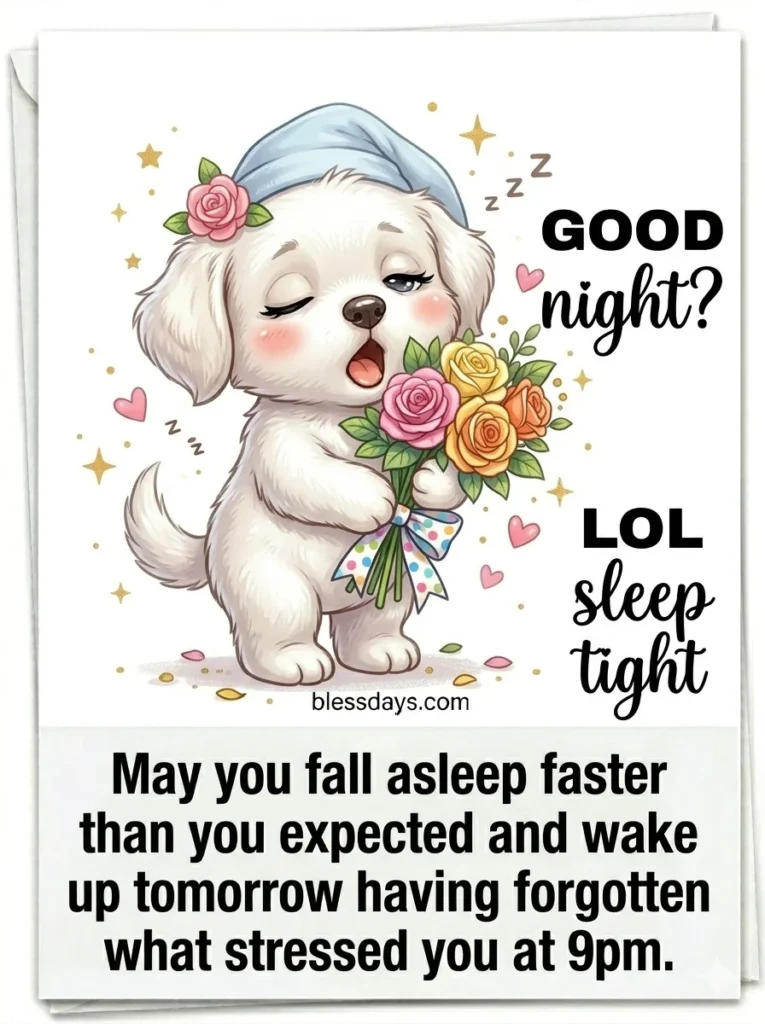 Funny Good Night Blessings for Friends